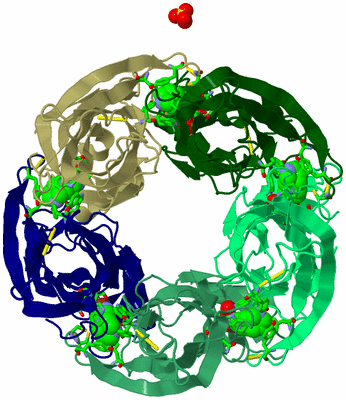 Image Biol. Unit 1 - sites