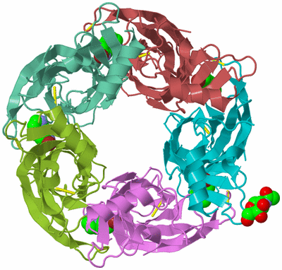 Image Biological Unit 3