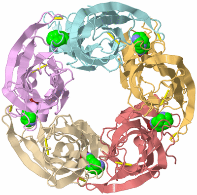 Image Biological Unit 5