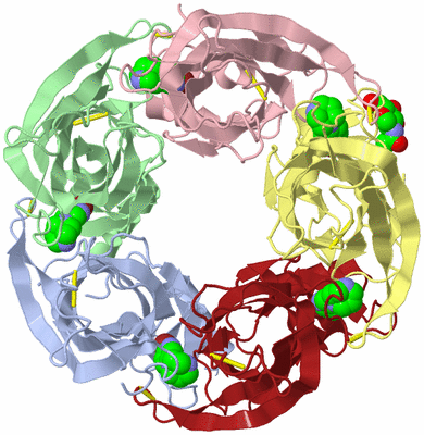 Image Biological Unit 6