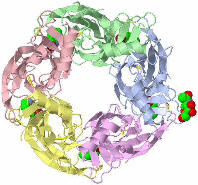 Image Biological Unit 7