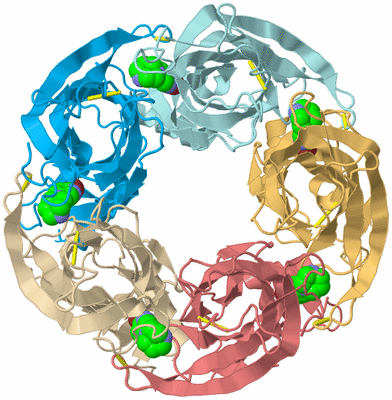 Image Biological Unit 8