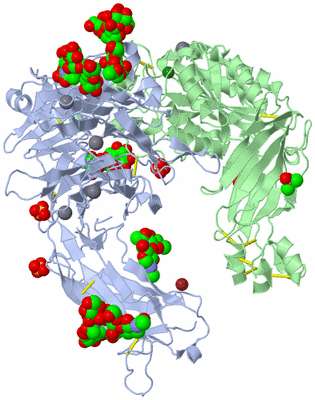 Image Biological Unit 1