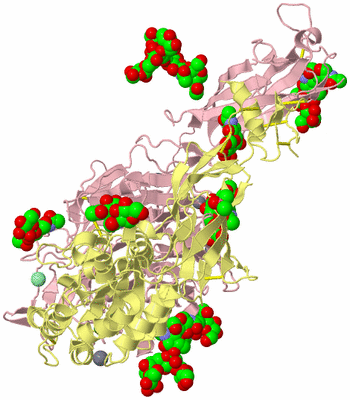 Image Biological Unit 2