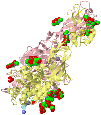 Image Biological Unit 1