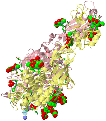 Image Biol. Unit 1 - sites