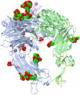 Image Biological Unit 2