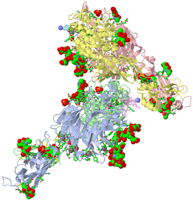 Image Asym. Unit - sites