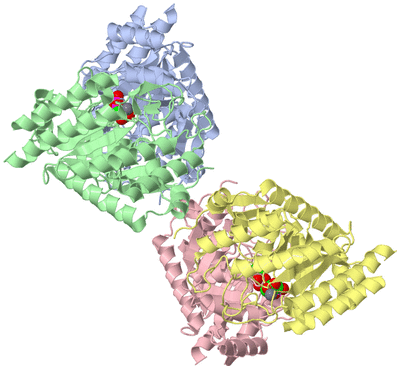 Image Asym./Biol. Unit