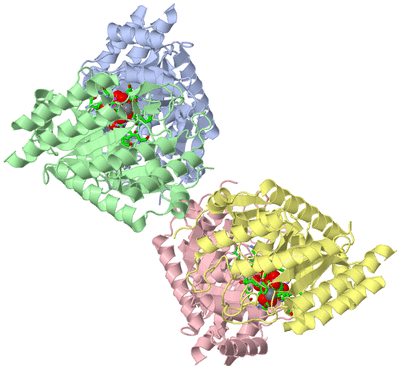 Image Asym./Biol. Unit - sites