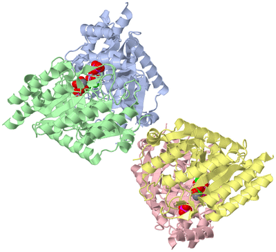 Image Asym./Biol. Unit