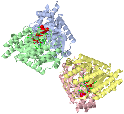 Image Asym./Biol. Unit - sites