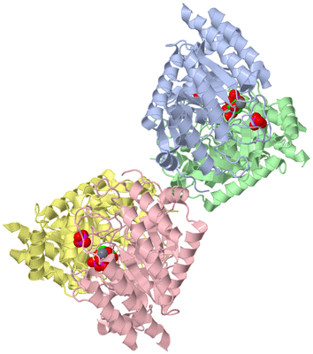 Image Asym./Biol. Unit