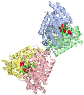 Image Asym./Biol. Unit - sites