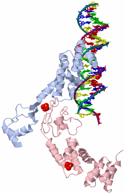 Image Biological Unit 1