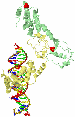 Image Biological Unit 2