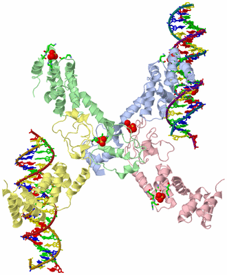 Image Asym. Unit - sites