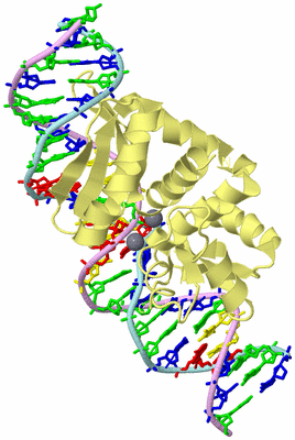 Image Biological Unit 1