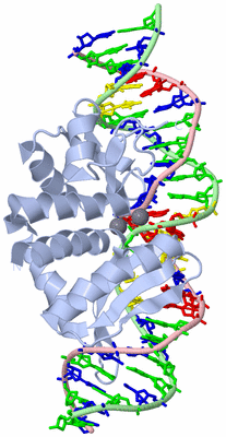 Image Biological Unit 3