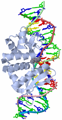 Image Biological Unit 2