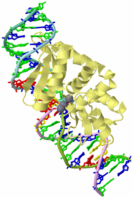 Image Biological Unit 3