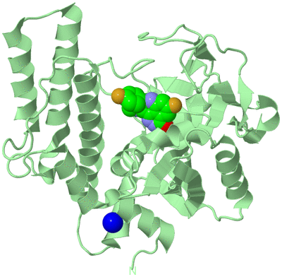 Image Biological Unit 2