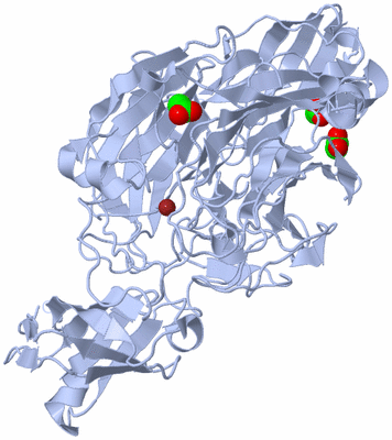 Image Biological Unit 1