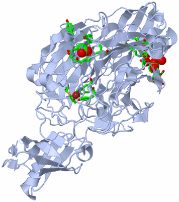 Image Biol. Unit 1 - sites