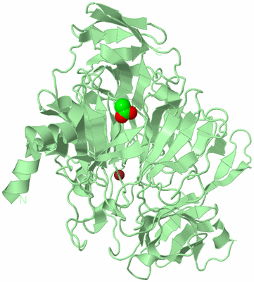 Image Biological Unit 2