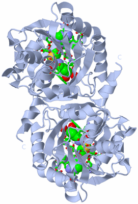 Image Biol. Unit 1 - sites