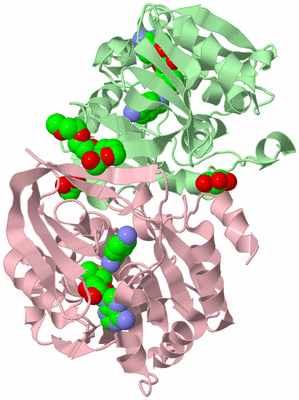 Image Biological Unit 2