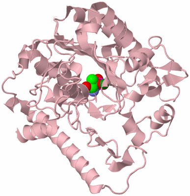 Image Biological Unit 3