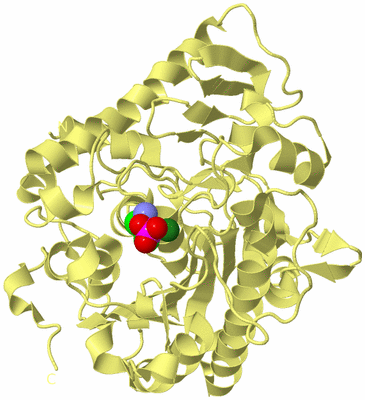 Image Biological Unit 4