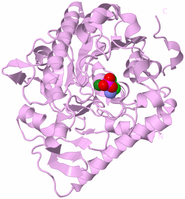 Image Biological Unit 5