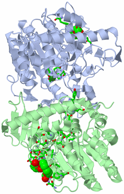 Image Asym./Biol. Unit - sites