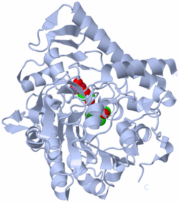 Image Biological Unit 1