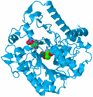 Image Biological Unit 10