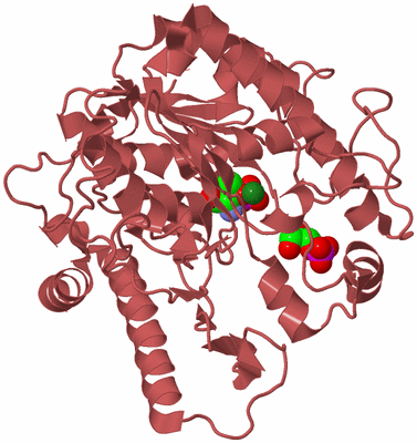 Image Biological Unit 11