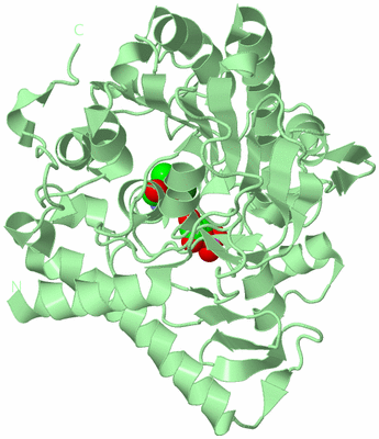 Image Biological Unit 2