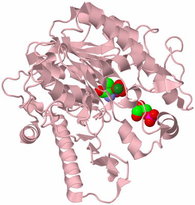 Image Biological Unit 3