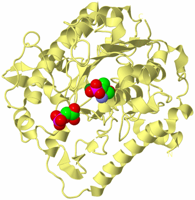 Image Biological Unit 4