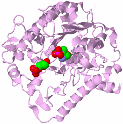 Image Biological Unit 5