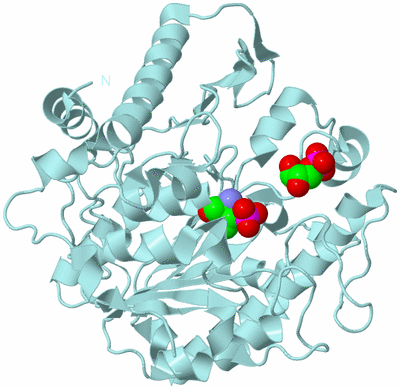 Image Biological Unit 6