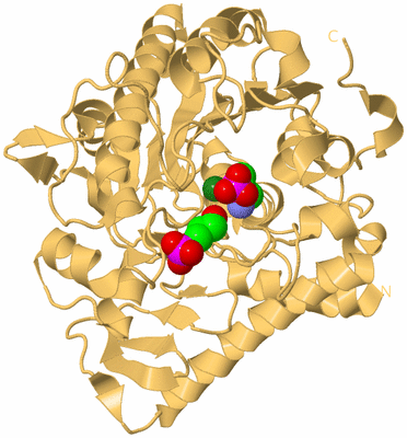 Image Biological Unit 7