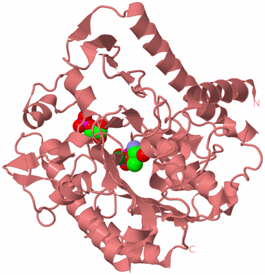 Image Biological Unit 8