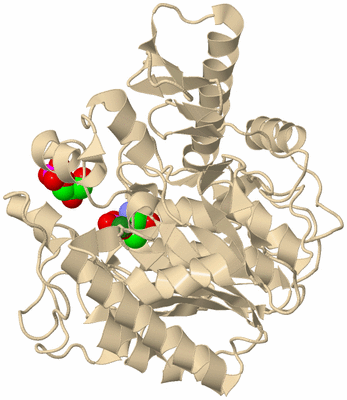 Image Biological Unit 9