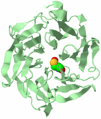 Image Biological Unit 2