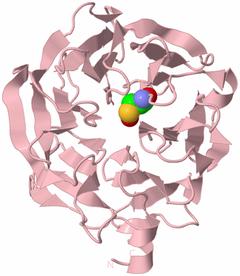 Image Biological Unit 3