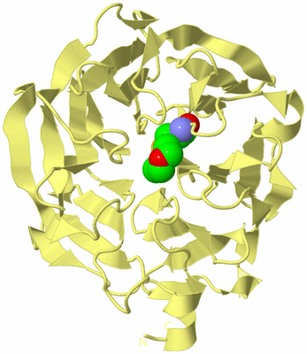 Image Biological Unit 4