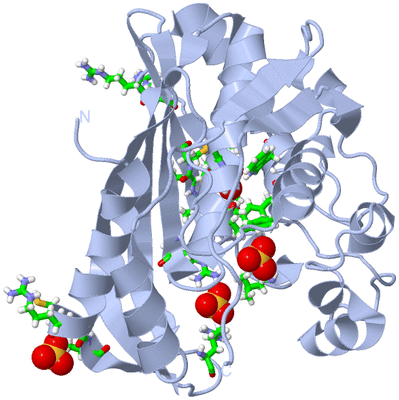 Image Biol. Unit 1 - sites